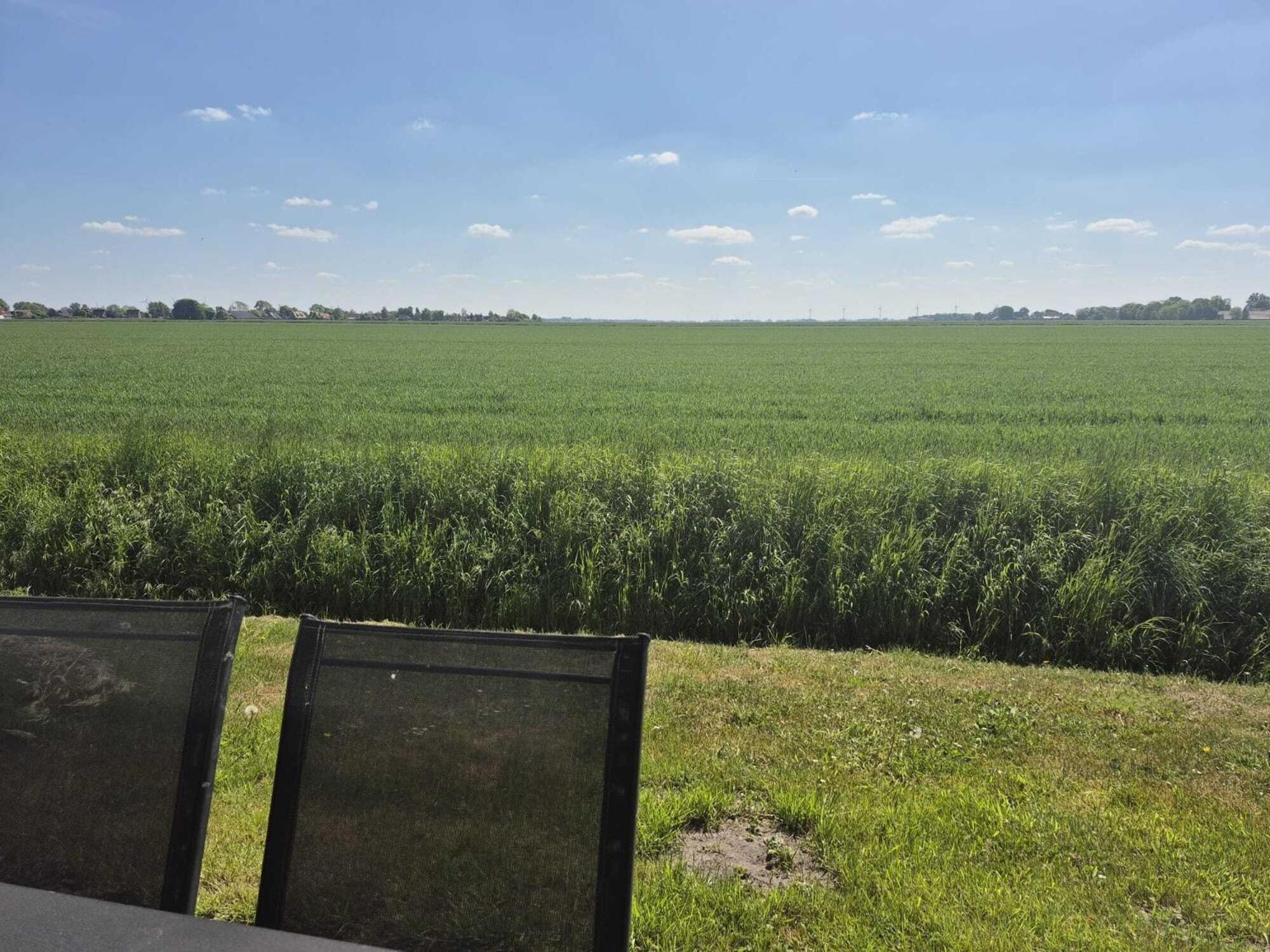 Ferienhaeuser Freiblick Ditzumerverlaat Luaran gambar